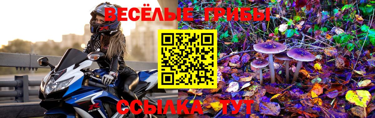 Галлюциногенные грибы MAGIC MUSHROOMS  Вход с VPN  Унеча 